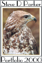 NATURE WATCH